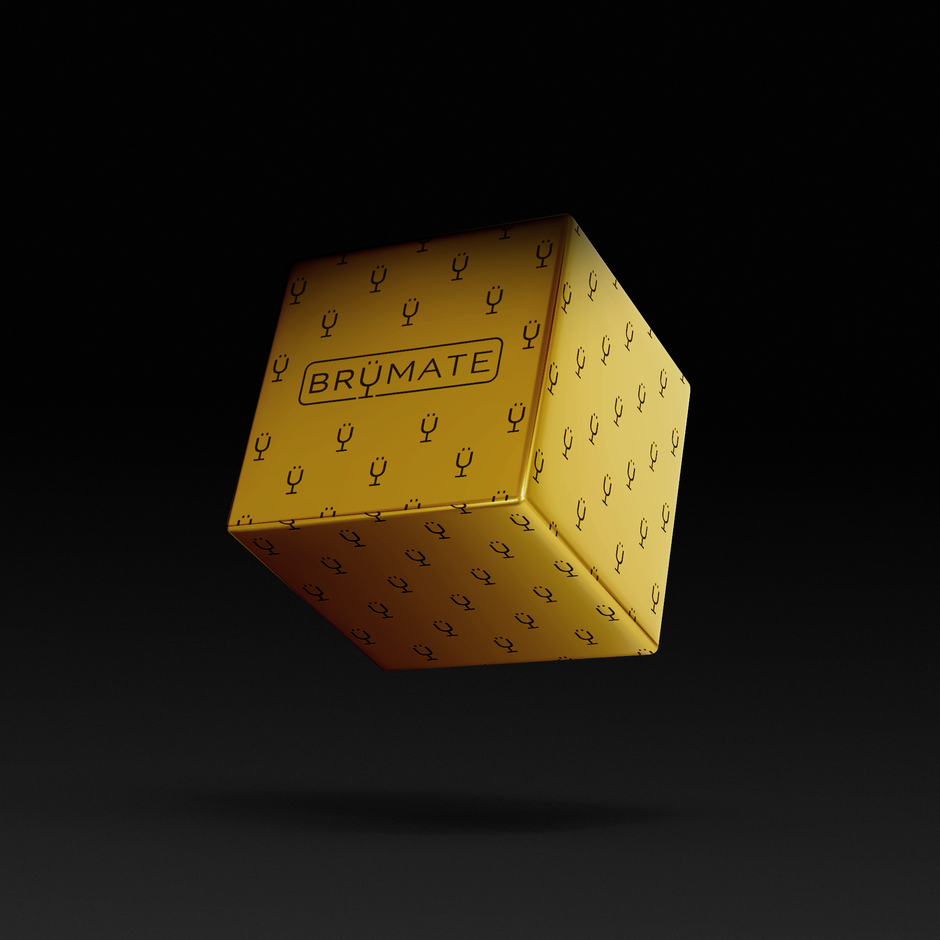 premium-mystery-item-39-70-value-t4 IMG-1548.png